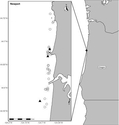 Do Gray Whales Count Calories? Comparing Energetic Values of Gray Whale Prey Across Two Different Feeding Grounds in the Eastern North Pacific